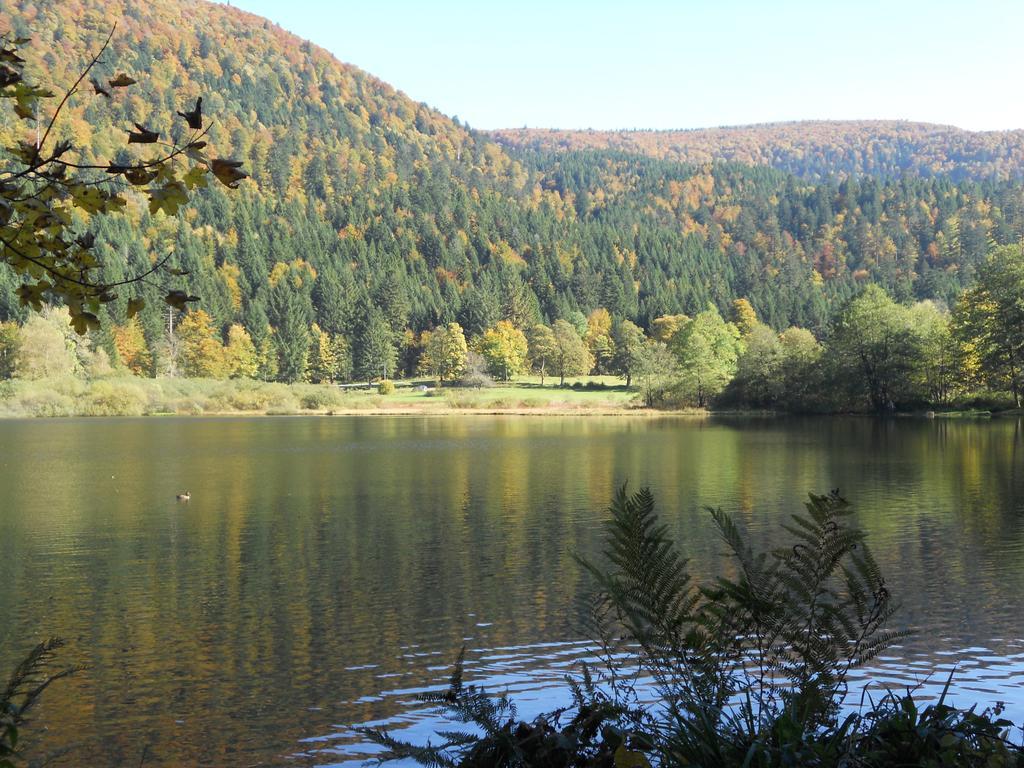 Chalet Au Bord Du Lac De Longemer Xonrupt-Longemer Room photo